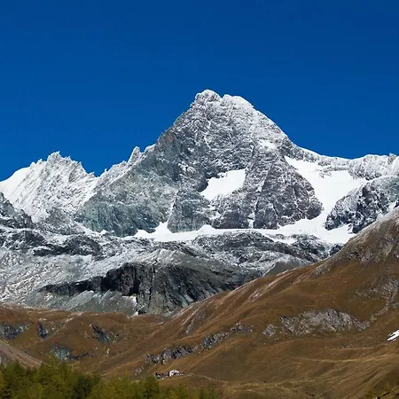 Emilia Kals-am Großglockner
