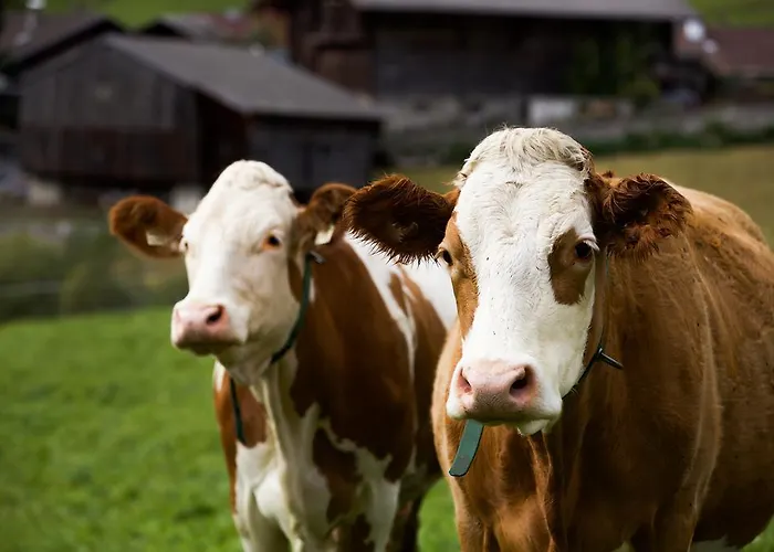 Prázdninový dům Emilia